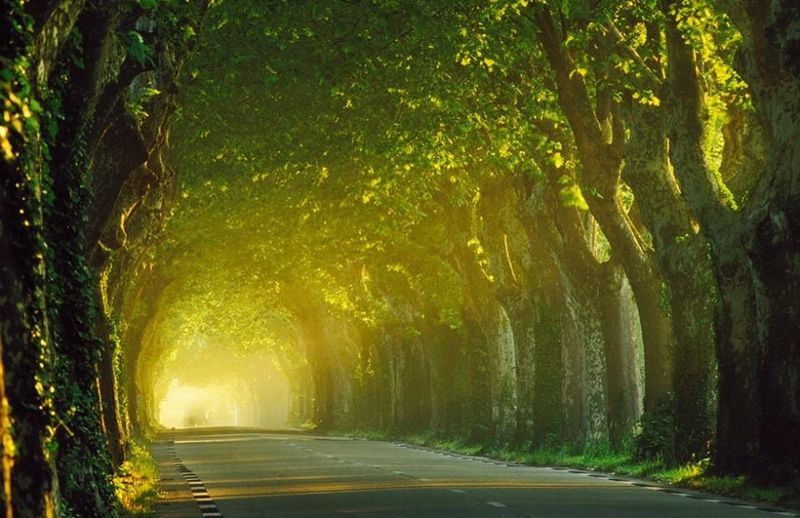 Stresshantering på Östermalm
